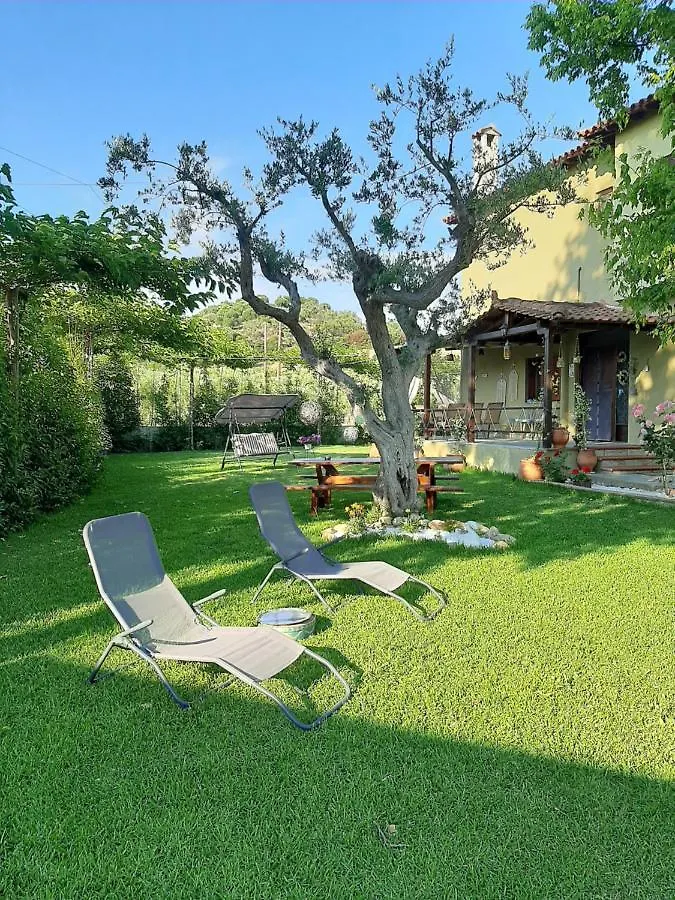 Vintage Home Νικήτη