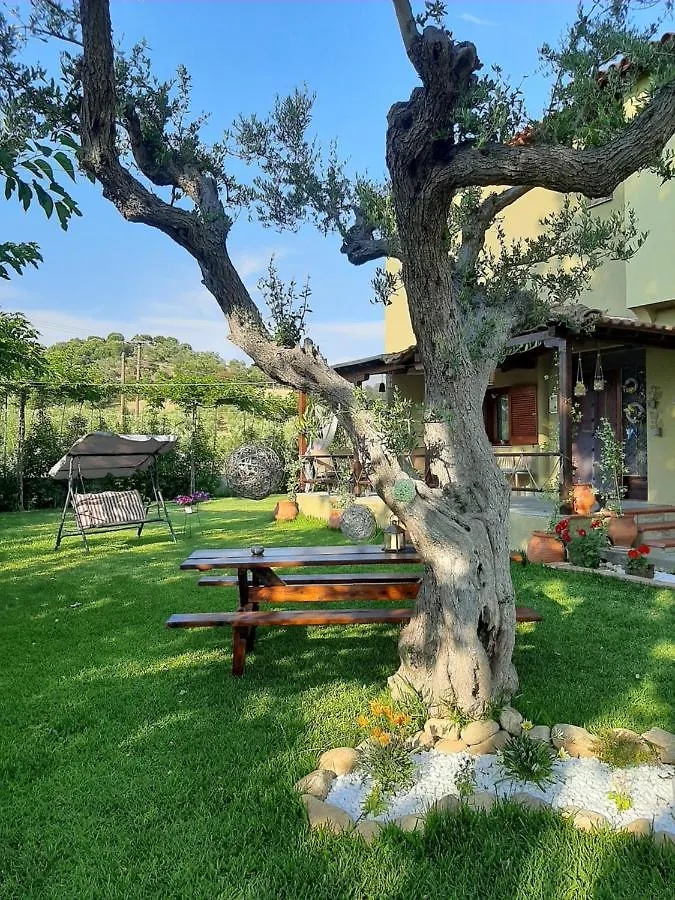 Vintage Home Νικήτη Ελλάδα