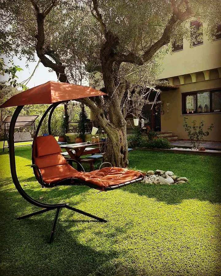 Vintage Home Νικήτη Ελλάδα