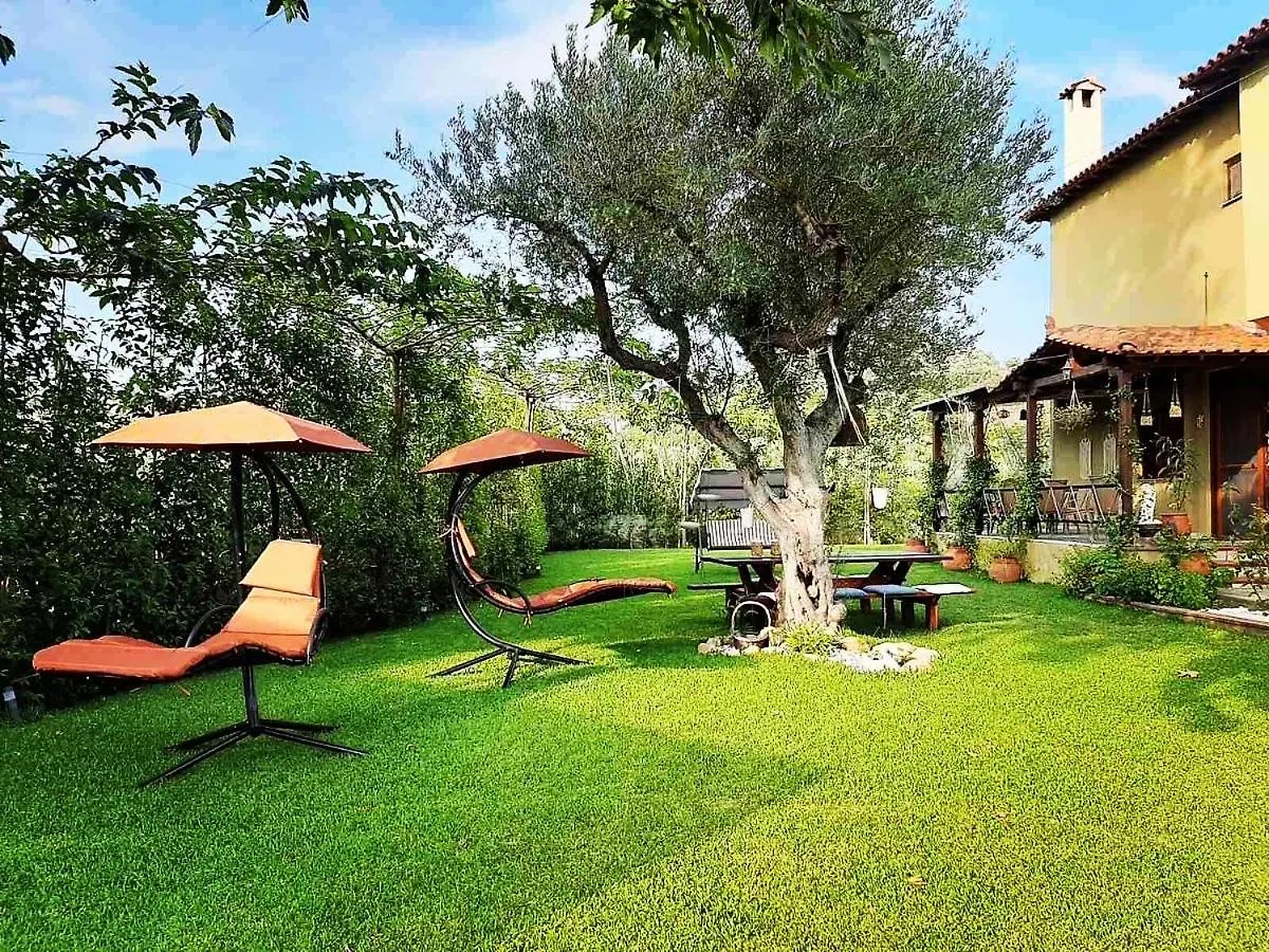 Vintage Home Nikiti